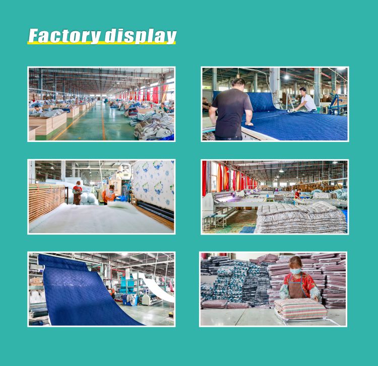 TianlinHome | Factory Display